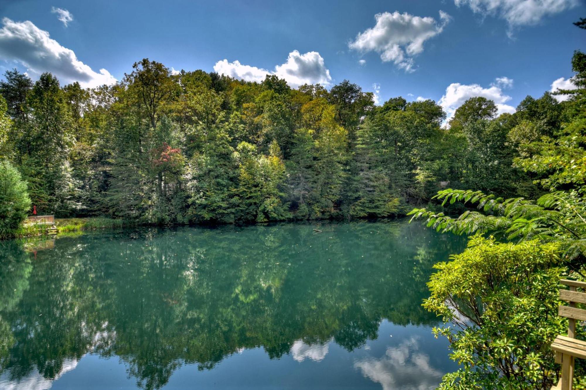 Waywish Waterfront Cabin In Blue Ridge Mountains Exterior foto